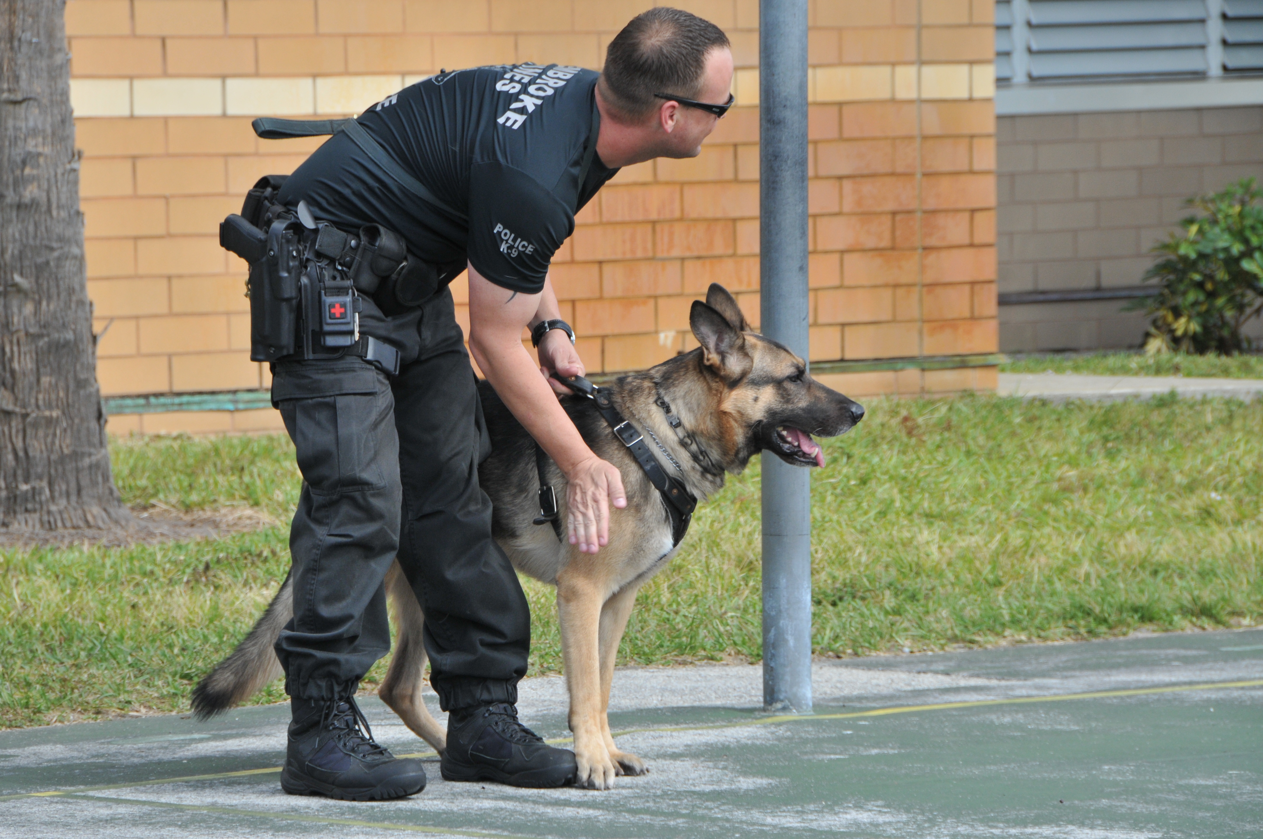 K-9 Paglia